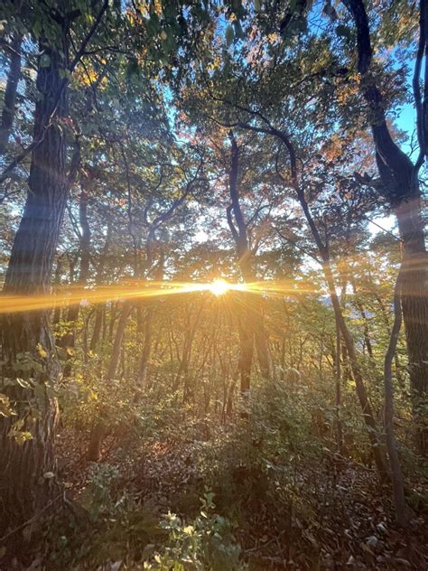 寅山|寅巳山の最新登山情報 / 人気の登山ルート、写真、天。